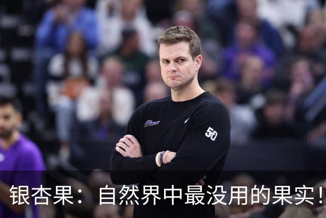 银杏果:自然界中最没用的果实!结果再多也一样沦为保护植物