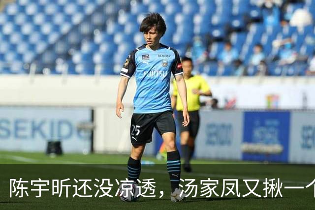 陈宇昕还没凉透，汤家凤又揪一个“精日”人员：竟然还是公司老板